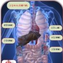 강변향기나무한의원 이미지