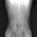 모양동물병원 이미지