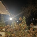 살롱 드 방동 이미지