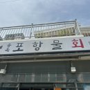 송옥포항물회