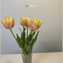 주피아노음악교습소 이미지