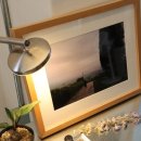 금수청과 이미지