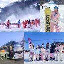 아이러브강원(주) | 비발디파크 스키장 의류 렌탈샵 리프트권 할인 셔틀버스 시간