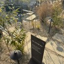 경주의시간 목화 이미지