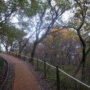 [광주 광산구]광주여대~동자봉(154m)~풍악정~어등산 석봉(338m)~등용정~풍악정~광주여대 다녀오기(2019/11/18/월 오전) 이미지