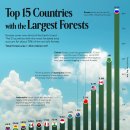 가장 큰 산림을 보유한 국가는 어디입니까? 이미지