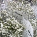 세명농장 이미지