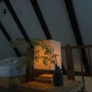 더 포레스트 | 🌿 제주 애월 독채펜션, 숲속 힐링 스테이 더포레스트애월 후기
