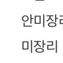 안미장리 이미지