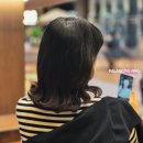 헤어 관리 고민 해결템, 샴푸 트리트먼트 에센스 세럼 아베다 외 17종 사용 후기