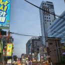 돌배기집 티스토리