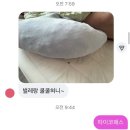 (주)콘스텍코리아 | ~.~