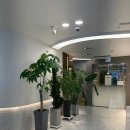 닥터전치과의원 이미지