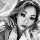 씨엘건재 이미지
