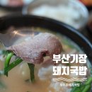 부산돼지국밥 | 부산여행 첫날먹은 부산 기장맛집 두미촌 돼지국밥 솔직후기