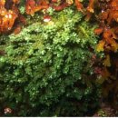 기성어촌체험휴양마을 이미지