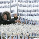 영덕청어과메기영어조합 이미지