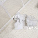 제로플러스 이미지