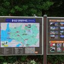 용봉초등학교앞 이미지