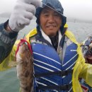 네이처그린 이미지