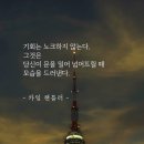 기회는 노크하지 않는다 이미지