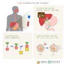 간기능 검사(LFT : Liver Fuction Test).. AST, ALT, ALP, GGT, 빌리루빈