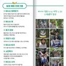 추억농장 | 아이랑 제주 여행 중 다녀온 스위트몽키 바나나 농장 체험