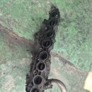 그랜드모터스 이미지