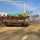카페 개떼 이미지