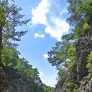 무릉도원 이미지