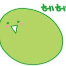 룸504 이미지