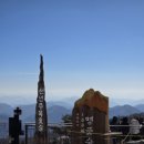 길 | 용평 발왕산 천년주목 숲길 후기