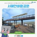 [만돌마을]갯벌체험 네이버블로그