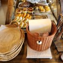 커피먹는 북극곰 이미지