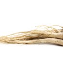 참나무요양병원 이미지