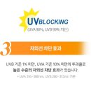 으뜸50안경 안양1번가점 이미지