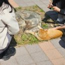 그림책주말놀이터 이미지