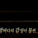 발리까페
