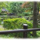 구로-구로-구로-766 | 신도림역고기집 TSG통삼국 신도림점 프리미엄 후기