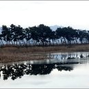 소나무풍경 - 김포시 | 소나무풍경