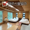 메르시 - 동구 자양동 | 부산 대구 근교 애견동반 독채 숙소 메르시풀빌라 방문 후기