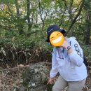 백록담 | [등산_5]등린이의 제주도 한라산 백록담 등반 후기! (성판악 코스)