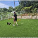 더블루네스 이미지