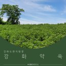 주식회사 생활연구소 이미지