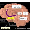 금연 후 인체회복 시간표 이미지