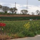 여흘마을 이미지