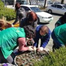 용산2동 행정복지센터 이미지