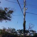 황금빛 민박 이미지