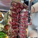 육대산