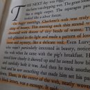 샬롯의 거미줄 | 영어 원서 입문 도서: 샬롯의 거미줄로 독해가 쉬워지는 이유 (+실제 문장 해석 포함)